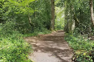 Townley Hall Woods image