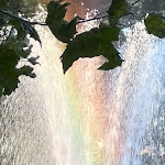 Photo n°5 de l'avis de Magdalene.o fait le 04/09/2023 à 17:33 sur le  Trattoria Sicilia à Blankenfelde-Mahlow