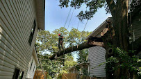 Sharper Edge Tree Care - Photo 3 - Car repair in , Gainesville