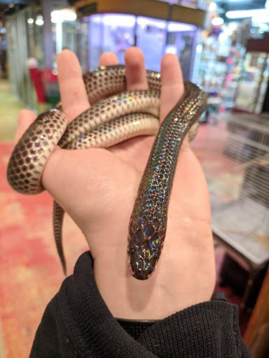 Pet Supply Store «All Pets Club», reviews and photos, 479 E Main St, Branford, CT 06405, USA