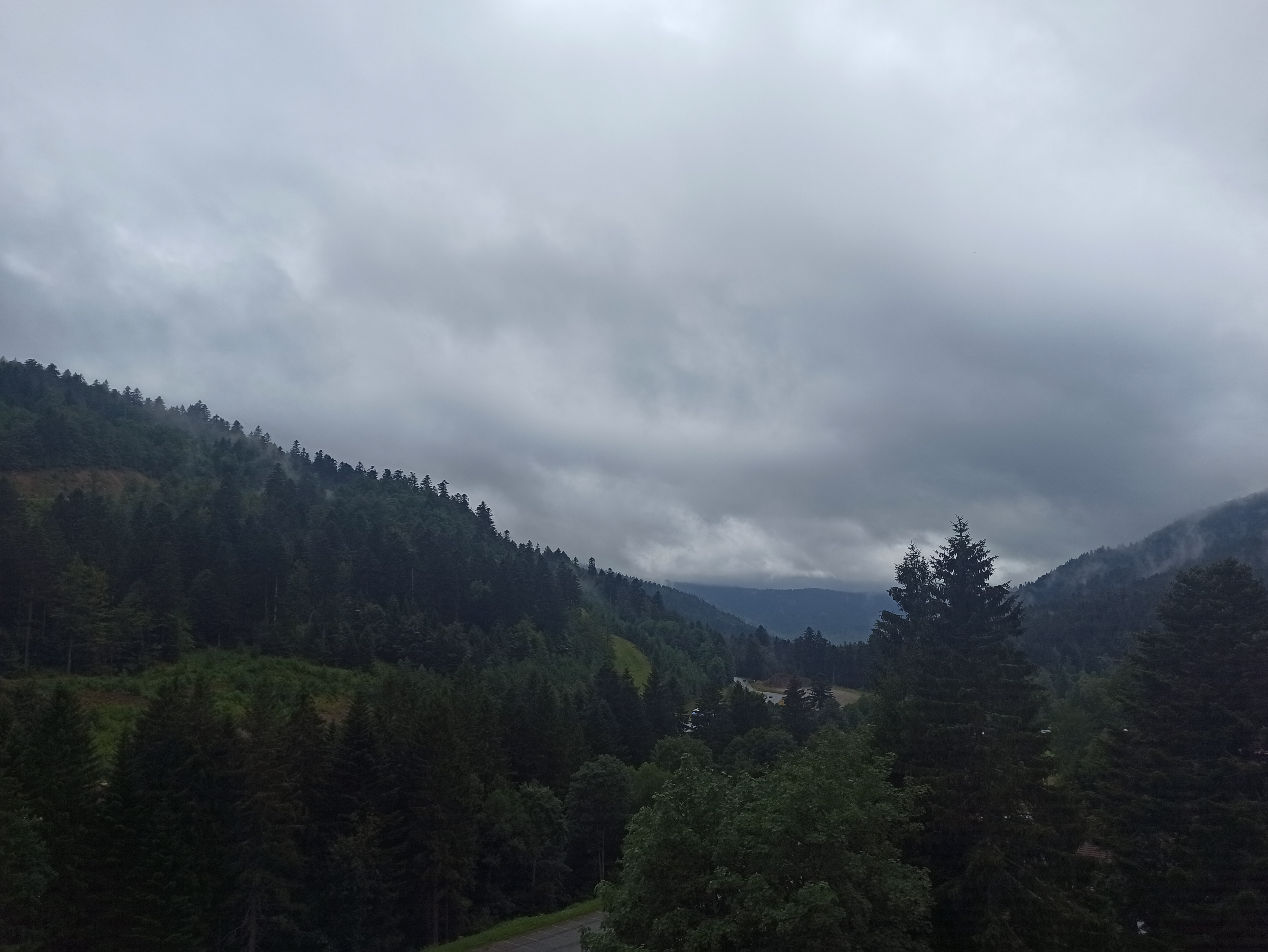 Photo n° 1 de l'avis de Nicolas.a fait le 26/07/2023 à 13:21