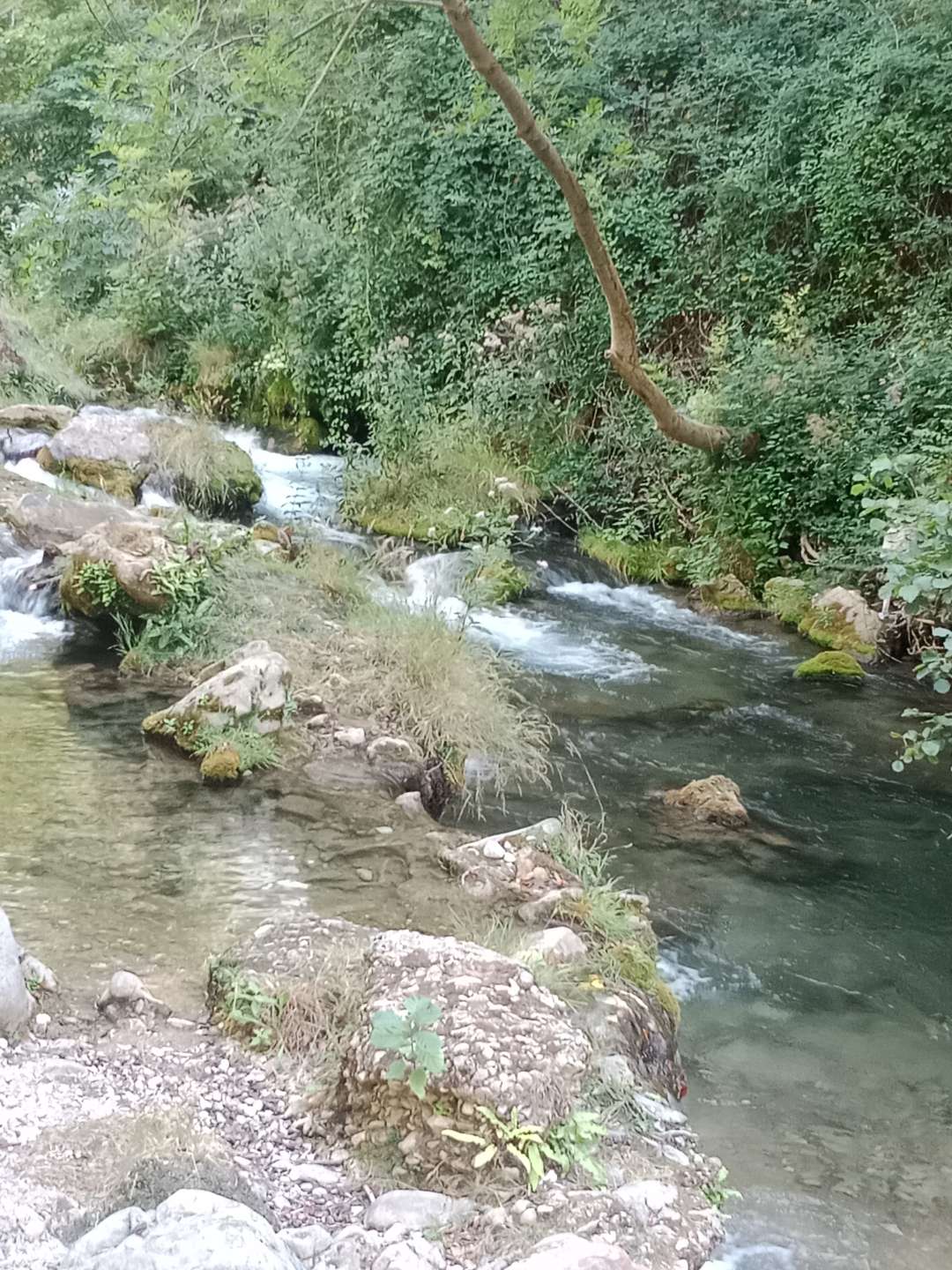 Photo n° 4 de l'avis de Tanguy.T fait le 10/03/2024 à 20:54
