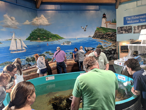 Aquarium «Maine State Aquarium», reviews and photos, 194 McKown Point Rd, West Boothbay Harbor, ME 04575, USA