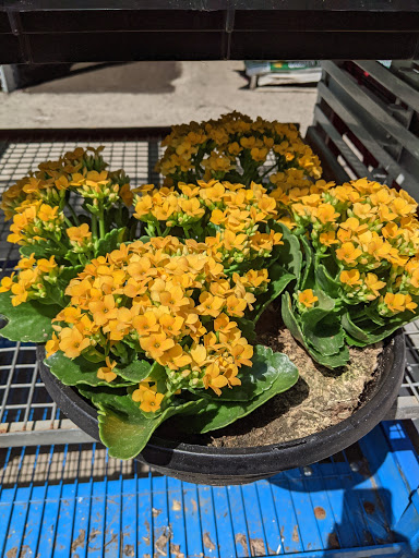 Home Improvement Store «The Home Depot», reviews and photos, 224 S Royal Oaks Blvd, Franklin, TN 37067, USA