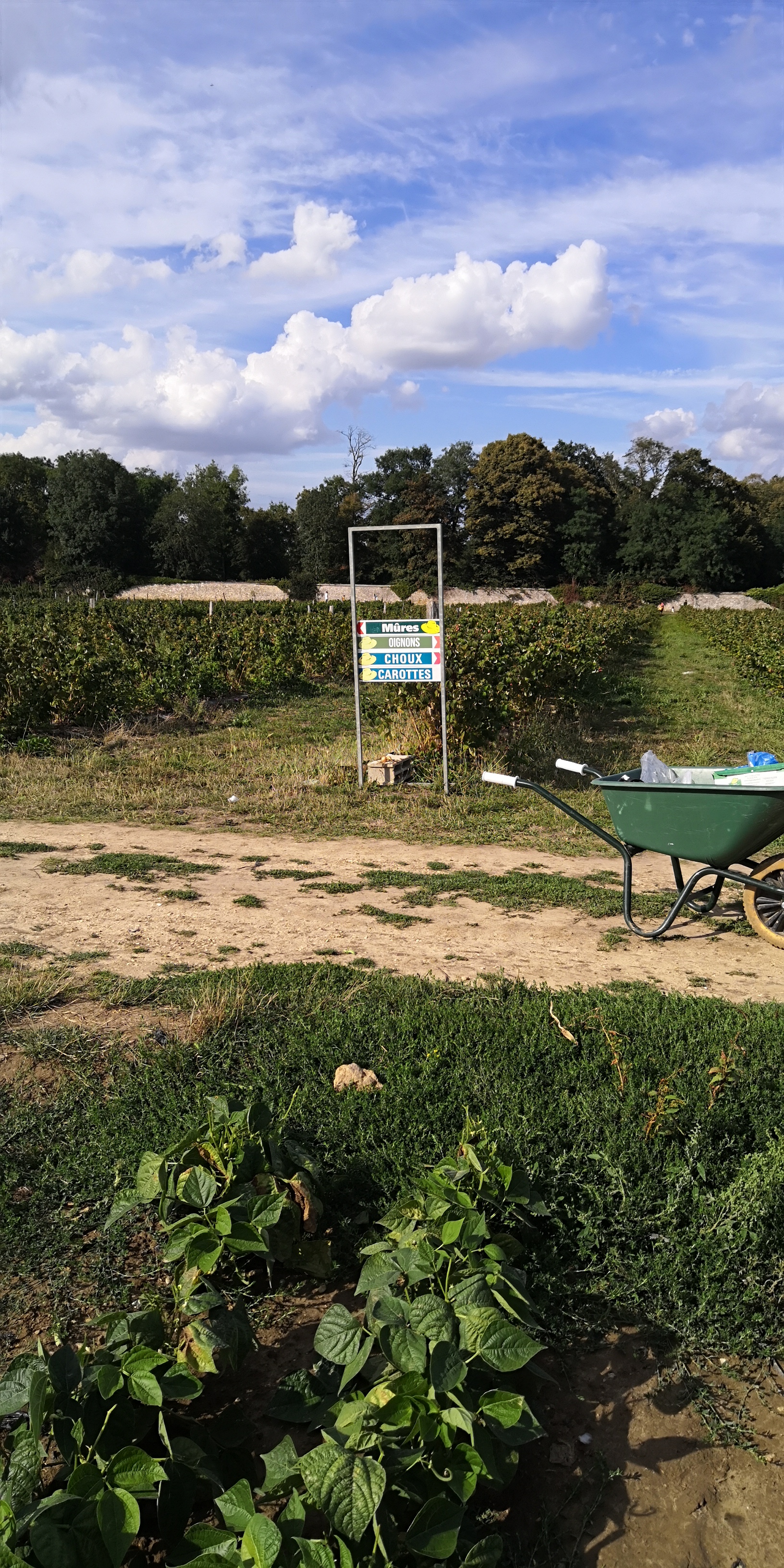Photo n° 2 de l'avis de ludovic.e fait le 15/08/2020 à 18:54