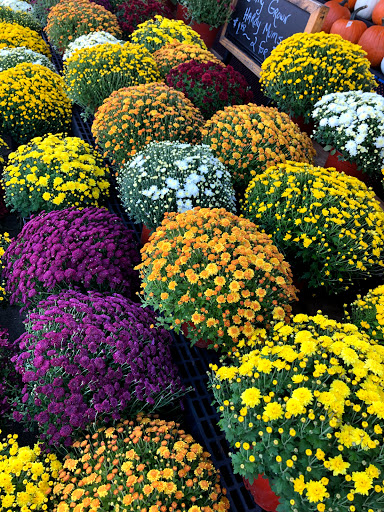 Produce Market «Quality Fruitland», reviews and photos, 1487 Fall River Ave, Seekonk, MA 02771, USA