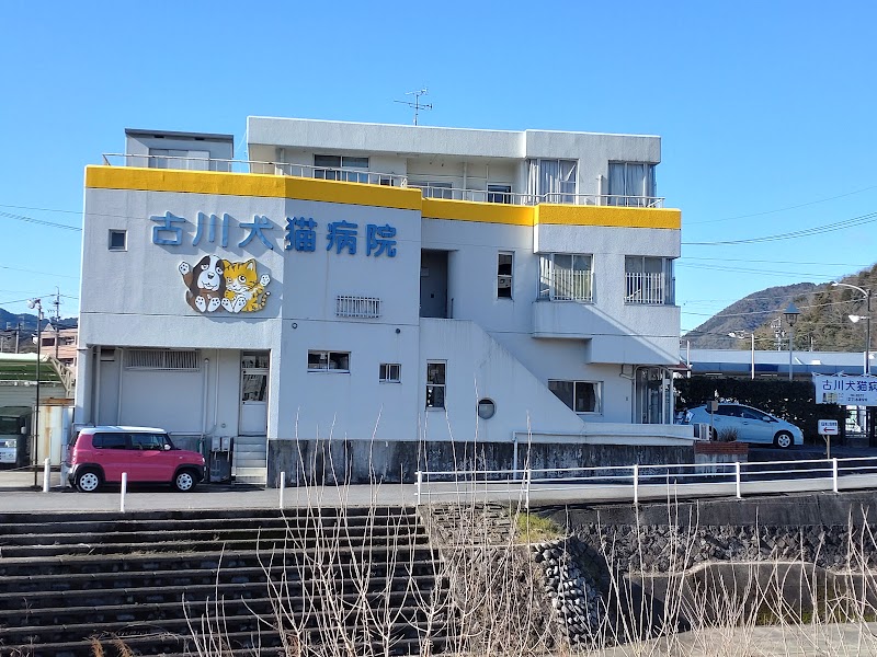 古川犬猫病院