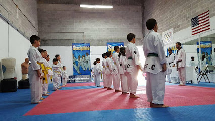ChampionLife Martial Arts Florida Taekwondo College