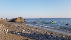 East beach'in fotoğrafı vahşi alan