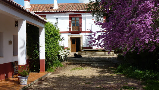 Casa Rural El Recuerdo Lagar El Recuerdo, C. Aguaperal, 8, 10220 Pago de San Clemente, Cáceres, España
