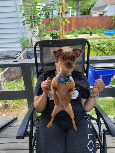 Pet Supply Store «PetSmart», reviews and photos, 1450 Spring Meadows Dr, Holland, OH 43528, USA