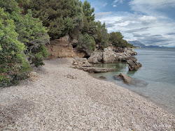 FKK Drvenik Beach'in fotoğrafı çok temiz temizlik seviyesi ile