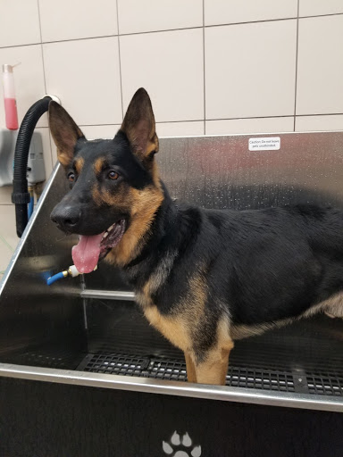 Pet Supply Store «Pet Supplies Plus», reviews and photos, 22124 Ecorse Rd, Taylor, MI 48180, USA