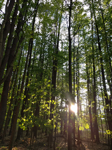 Golf Course «Saratoga Spa Golf Course», reviews and photos, 60 Roosevelt Dr, Saratoga Springs, NY 12866, USA