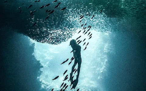 Immersia Freediving image