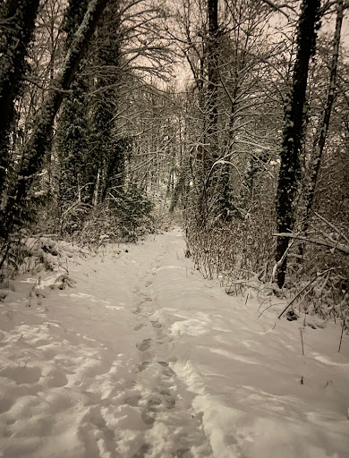 Park «Mill Creek Canyon Earthworks Park», reviews and photos, 100 Reiten Rd, Kent, WA 98030, USA