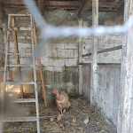 Photo n°3 de l'avis de Marino.e fait le 08/09/2020 à 17:06 sur le  Agriturismo Nonna Nella à Monteorsello di Guiglia