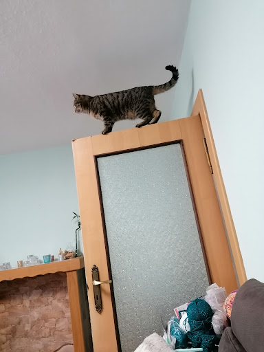 Dr. med. vet. Edda Kny unter Rathenow, Brandenburg