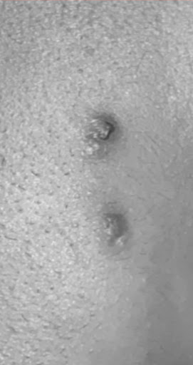 Explore mural tattoo ideas, creative tattoo ideas in Anchorage, available at Body Piercing Unlimited