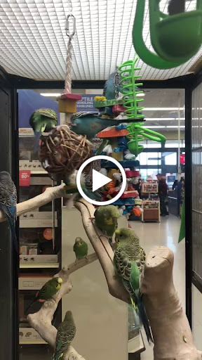 Pet Supply Store «PetSmart», reviews and photos, 3630 Peachtree Pkwy, Suwanee, GA 30024, USA