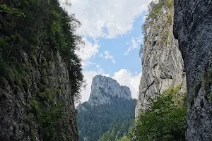 Parcul național Cheile Bicazului image