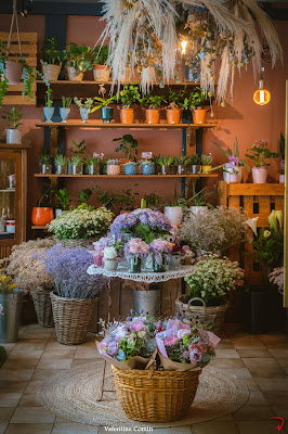 Bohémia artisan fleuriste à Metz
