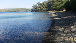 Sarıdana Bay II'in fotoğrafı geniş ile birlikte