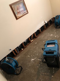 HCF Cleaning and Restoration - Photo 3 - Car repair in Metairie, LA, Metairie