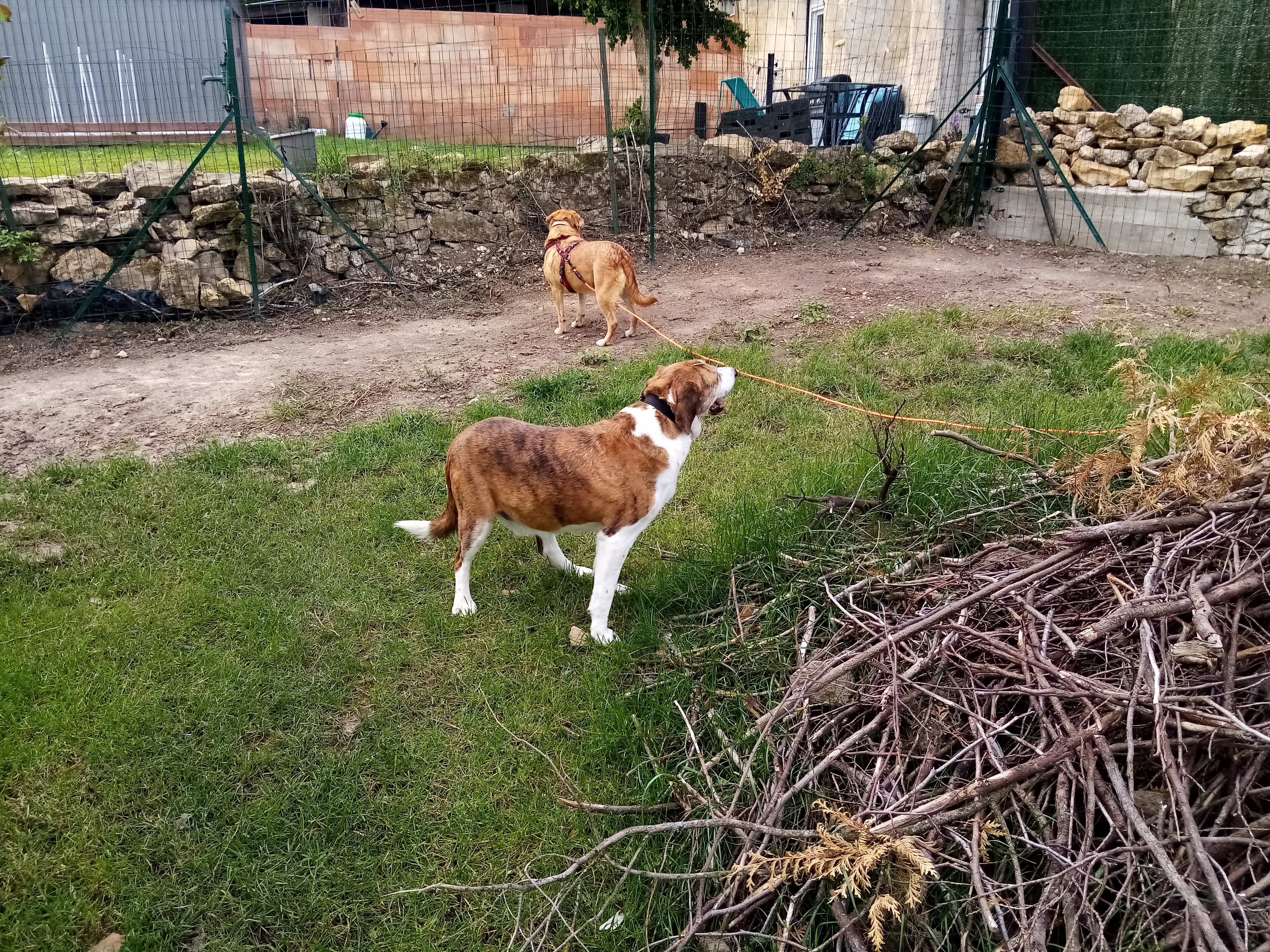Photo n° 1 de l'avis de olivier.u fait le 22/05/2021 à 07:25