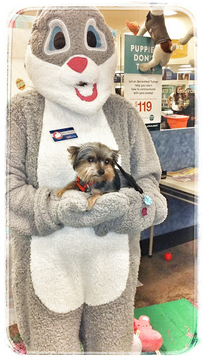 Pet Supply Store «PetSmart», reviews and photos, 5214 Blanche Moore Dr, Corpus Christi, TX 78411, USA