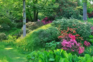 High Beeches Gardens image