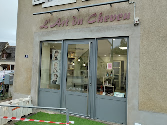 L'Art du cheveu