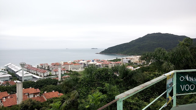 Safe Dedetização e Controle de pragas WhatsApp - (48) 99696-9623 - Florianópolis