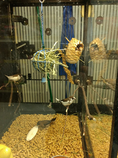 Pet Supply Store «PetSmart», reviews and photos, 11835 Retail Dr, Wake Forest, NC 27587, USA