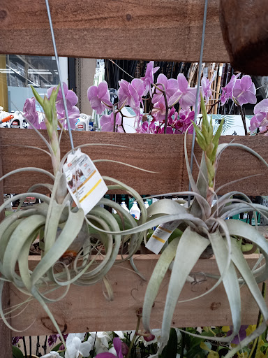 Home Improvement Store «The Home Depot», reviews and photos, 3730 Sun City Center Blvd, Ruskin, FL 33573, USA