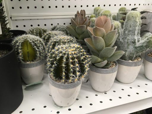 Fabric Store «Jo-Ann Fabrics and Crafts», reviews and photos, 330 Towne Dr, Fayetteville, NY 13066, USA