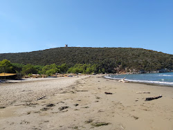 Cala Di Forno'in fotoğrafı uçurumlarla desteklenmiş
