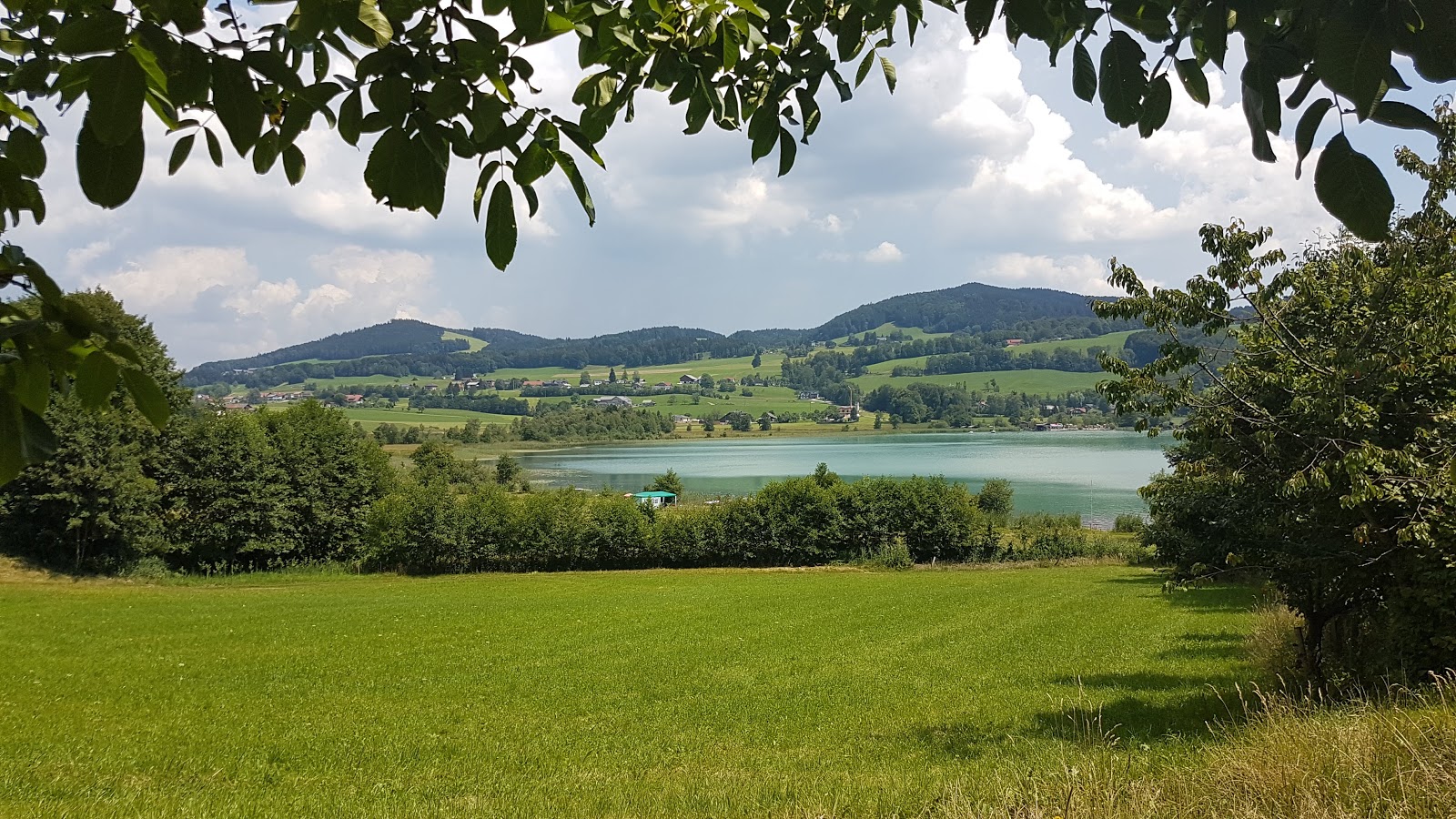 Campingplatz Fischhof'in fotoğrafı çok temiz temizlik seviyesi ile