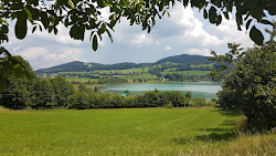Campingplatz Fischhof'in fotoğrafı çok temiz temizlik seviyesi ile