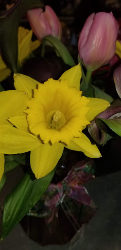 Coffee Shop «Starbucks», reviews and photos, 406 N Main St, Sebastopol, CA 95472, USA