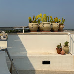 Photo n°1 de l'avis de Thomas.a fait le 26/08/2023 à 22:22 sur le  Palais Gentile à Matino