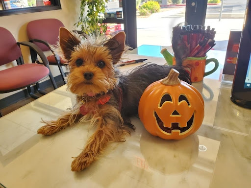 Insurance Agency «Lisa RO Ross - State Farm Insurance Agent», reviews and photos