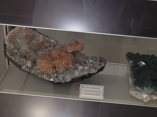 American Restaurant «La Cocina», reviews and photos, 201 N Court Ave, Tucson, AZ 85701, USA