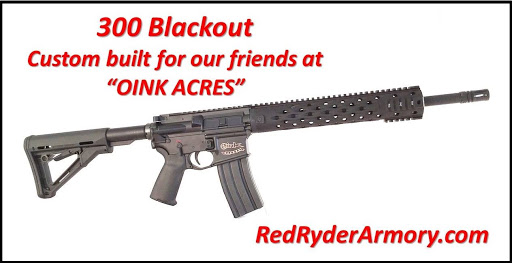 Gun Shop «Red Ryder Armory Gun Shop», reviews and photos, 6690 Columbia Park Dr #2, Jacksonville, FL 32258, USA