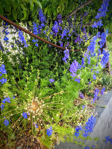 Natural Foods Store «Great Basin Community Food Co-op», reviews and photos, 240 Court St, Reno, NV 89501, USA