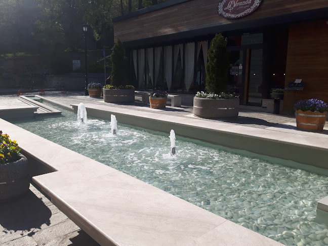 Община Пловдив