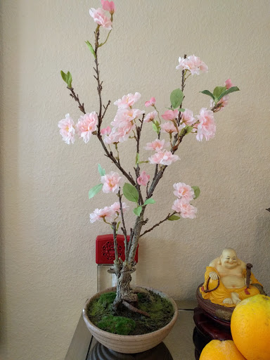 Florist «Silk Plants Direct», reviews and photos, 9901 W 74th St, Eden Prairie, MN 55344, USA