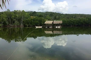 Ponong Lake image