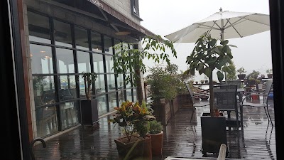 Photos of Juniper trees Pension & Cafe