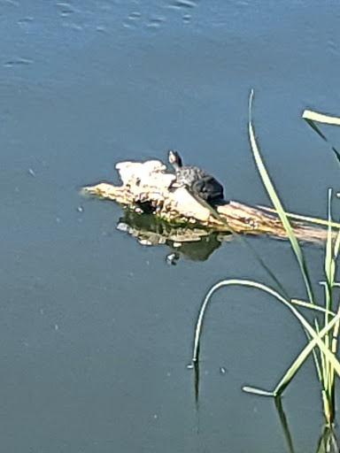 Park «Lake Cliff Park», reviews and photos, 300 E Colorado Blvd, Dallas, TX 75201, USA